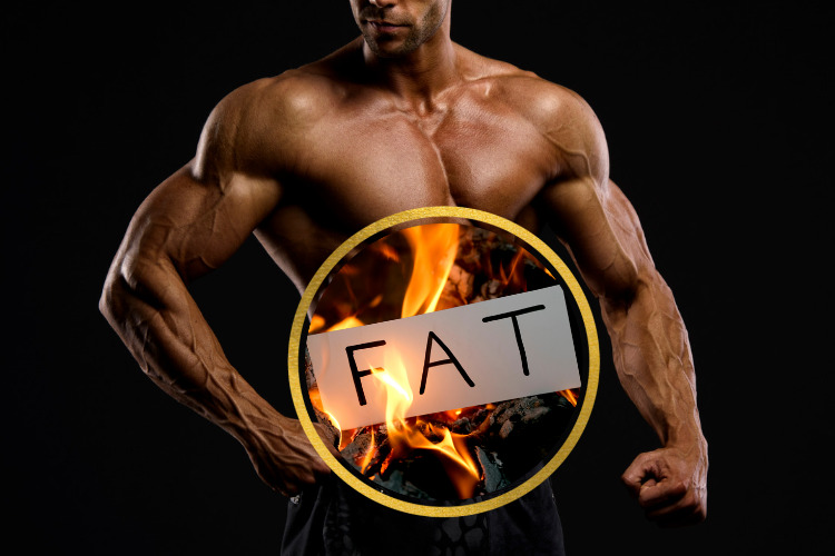 筋肉は脂肪燃焼効果がある。
